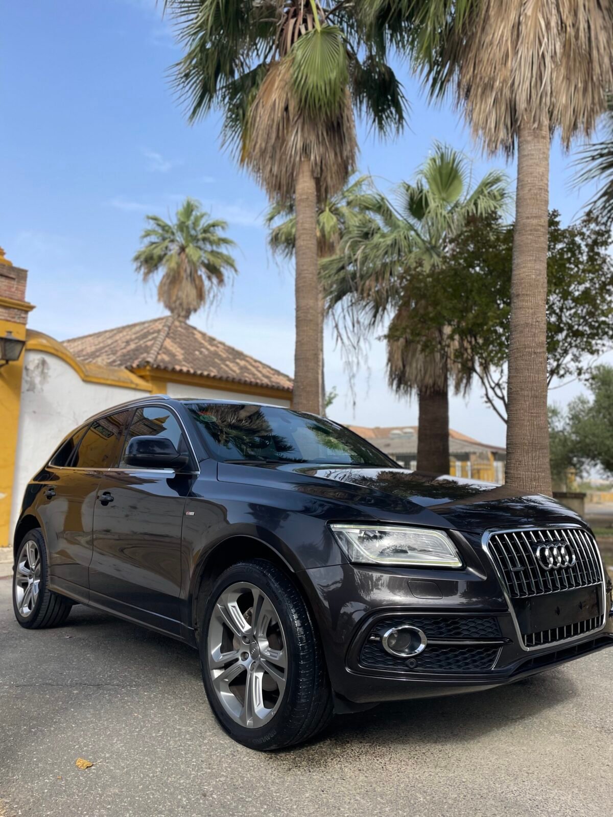 AUDI Q5 S-Line 225cv TFSI