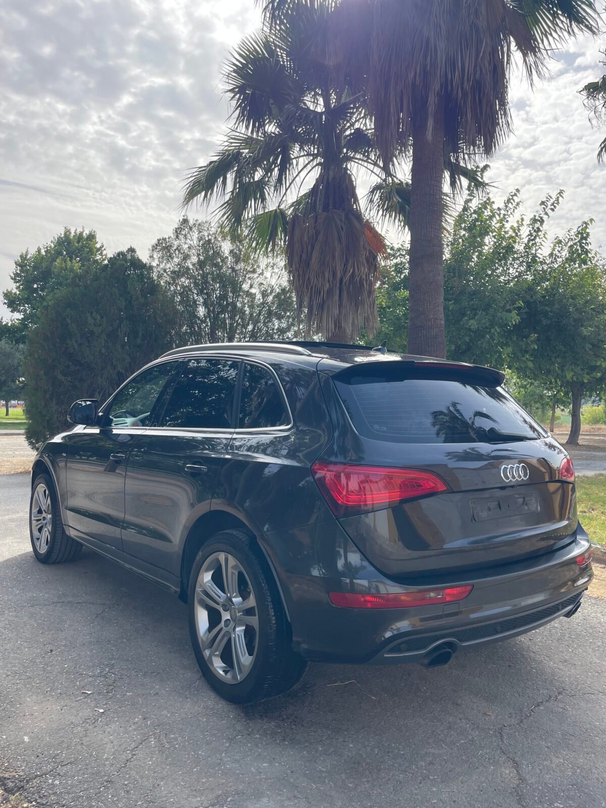 AUDI Q5 S-Line 225cv TFSI
