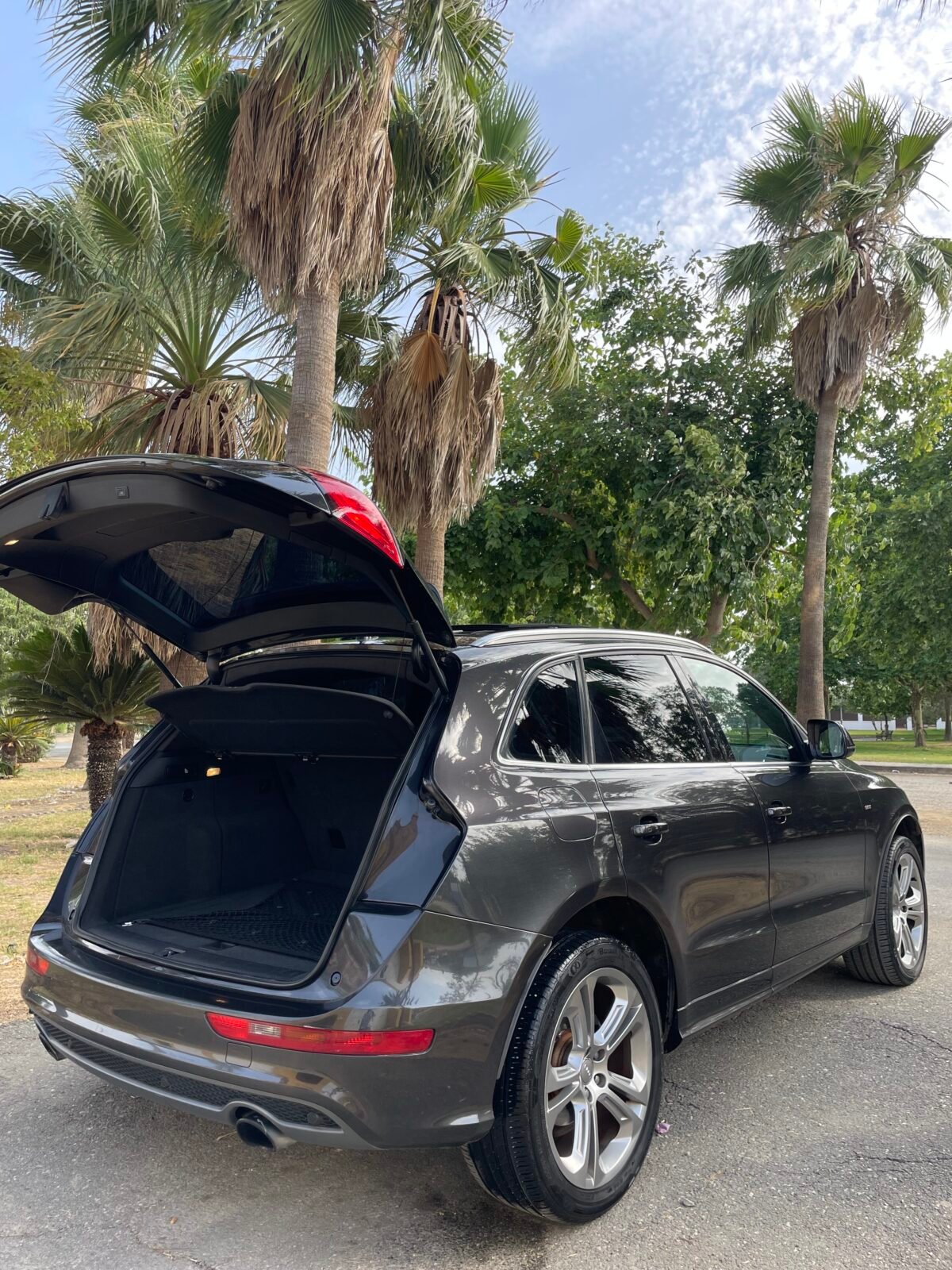 AUDI Q5 S-Line 225cv TFSI