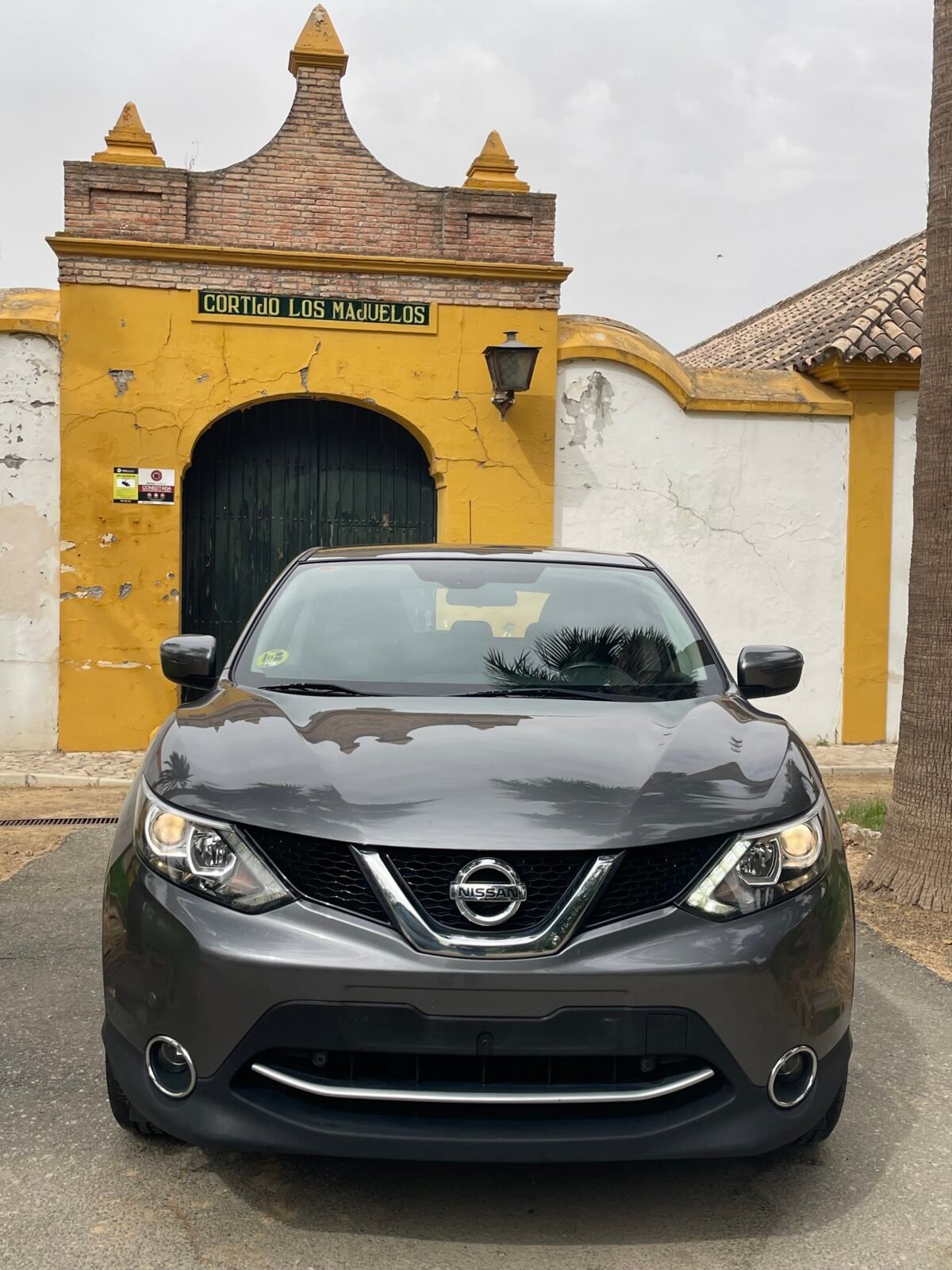 NISSAN Qashqai Qashqai 
